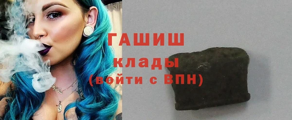 прущие грибы Няндома