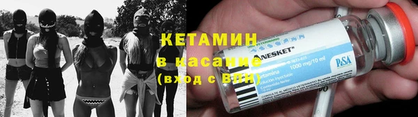молекула духа Новозыбков