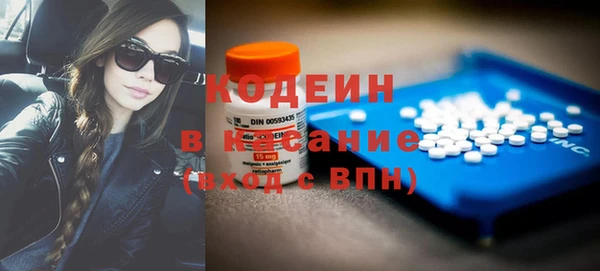 прущие грибы Няндома