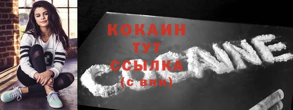 прущие грибы Няндома