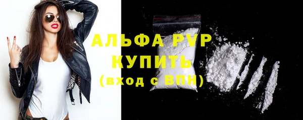 молекула духа Новозыбков