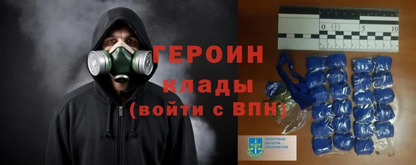 прущие грибы Няндома