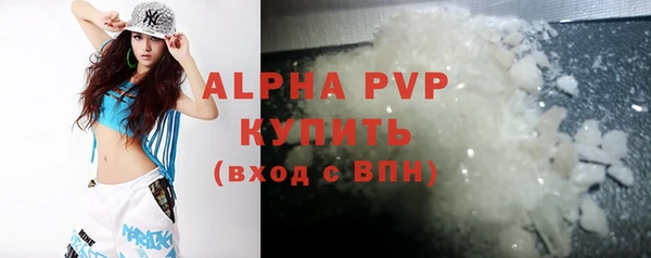 прущие грибы Няндома