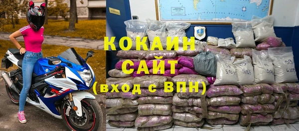 прущие грибы Няндома