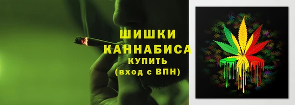 дживик Нягань
