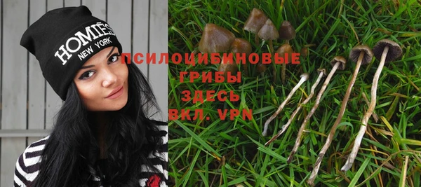 каннабис Новокубанск