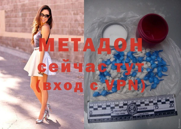прущие грибы Няндома
