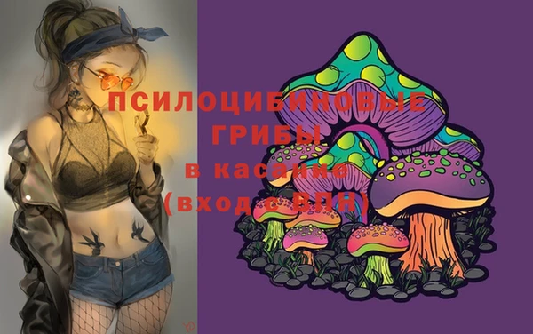 молекула духа Новозыбков