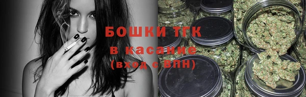 дживик Нягань