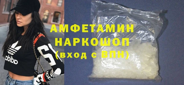 молекула духа Новозыбков