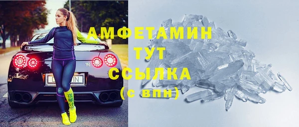 молекула духа Новозыбков