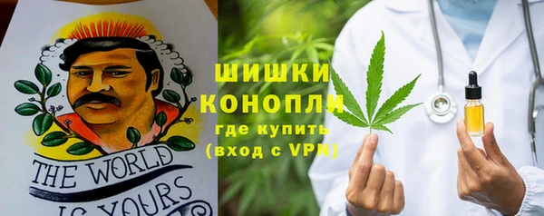 молекула духа Новозыбков