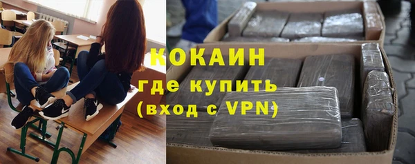 дживик Нягань